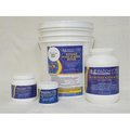 Ez-Path 1 lbs NPT StoneScapes Touch of Glass Series Regular Tropic Blue Blended Plaster E-122988